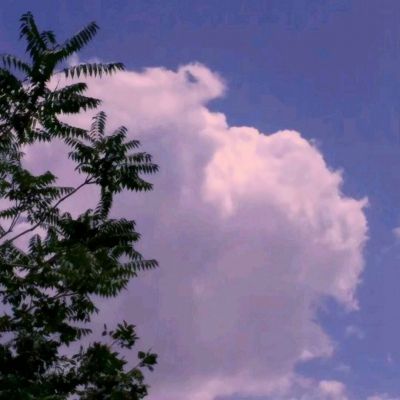 鸭脖app下载手机app下载截图